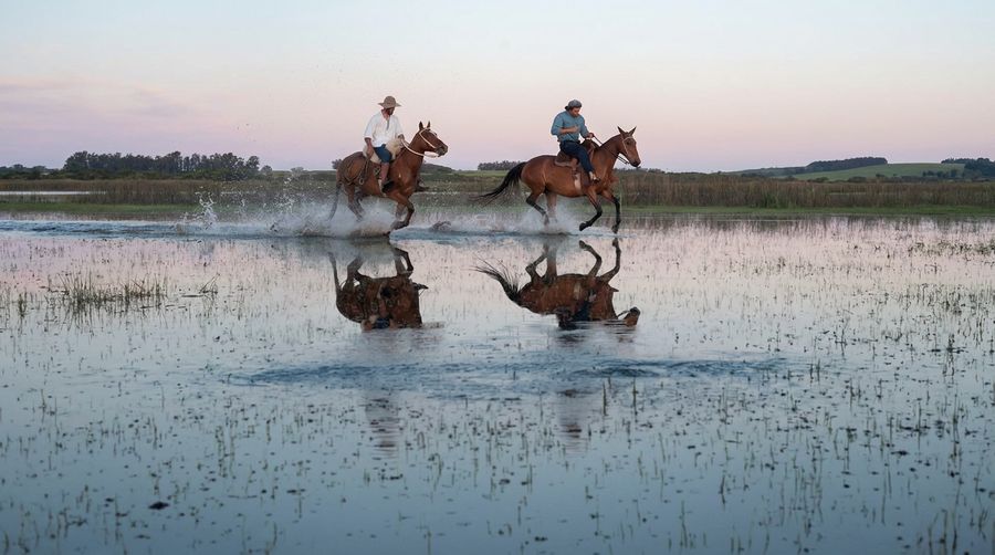 A rider crossing the wetland at dusk