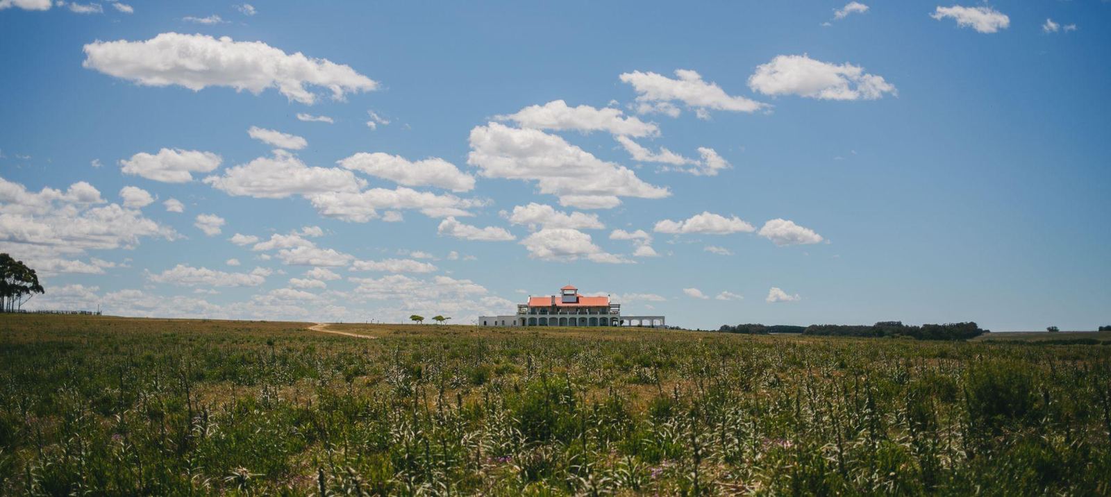 Estancia Vik, open country