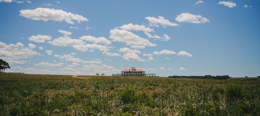 Estancia Vik, open country