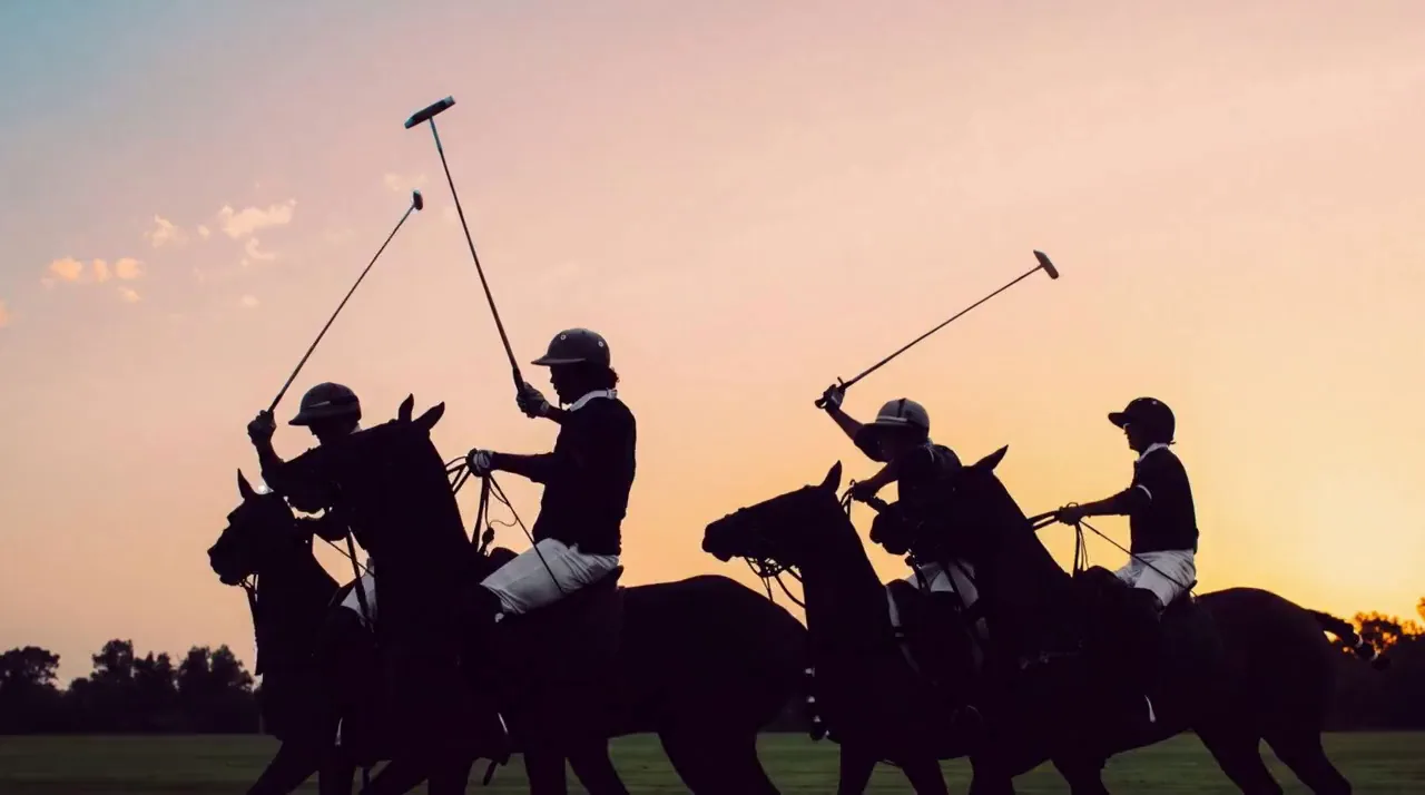 Campo y Polo