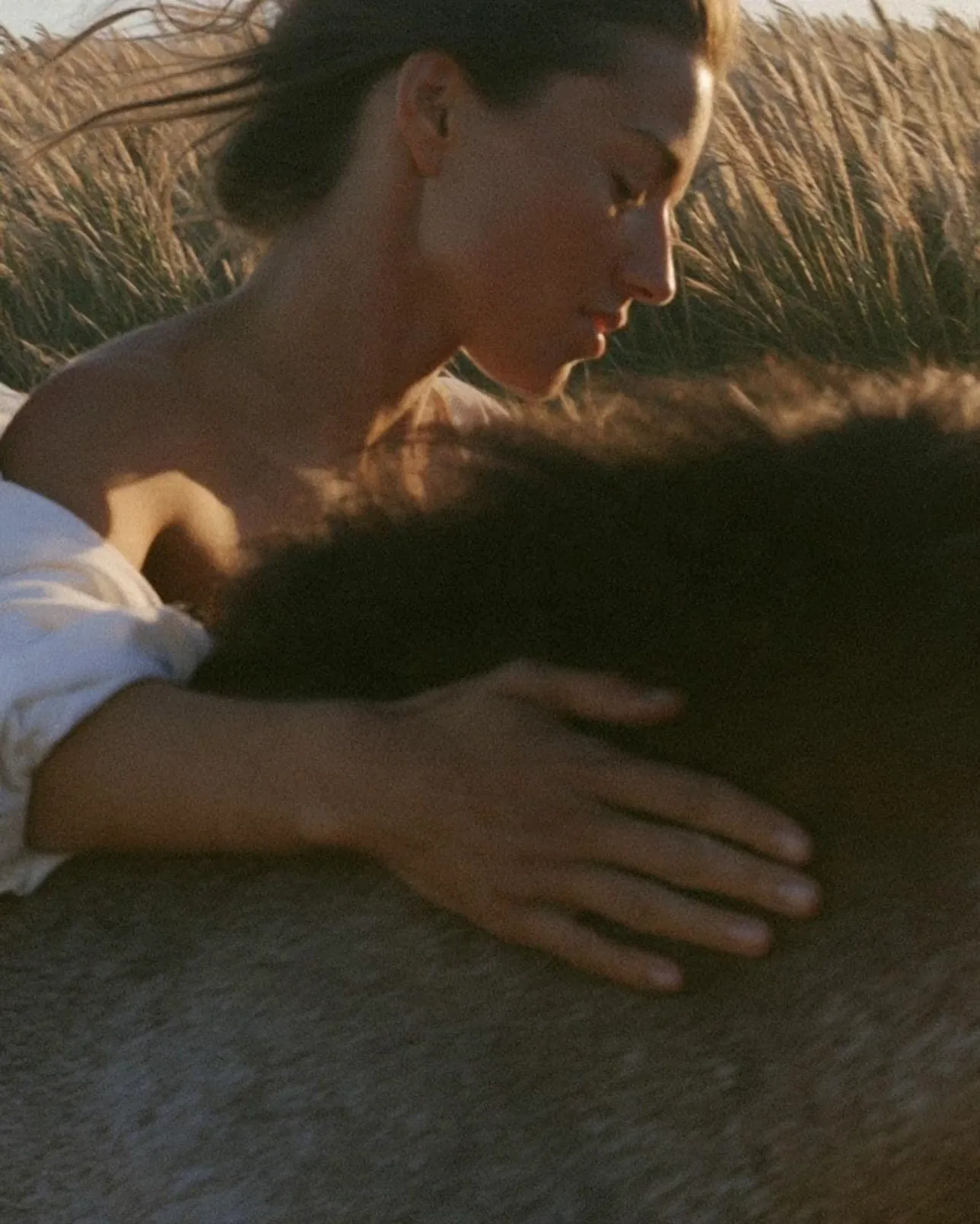 Resting a hand on a horse in the long grass