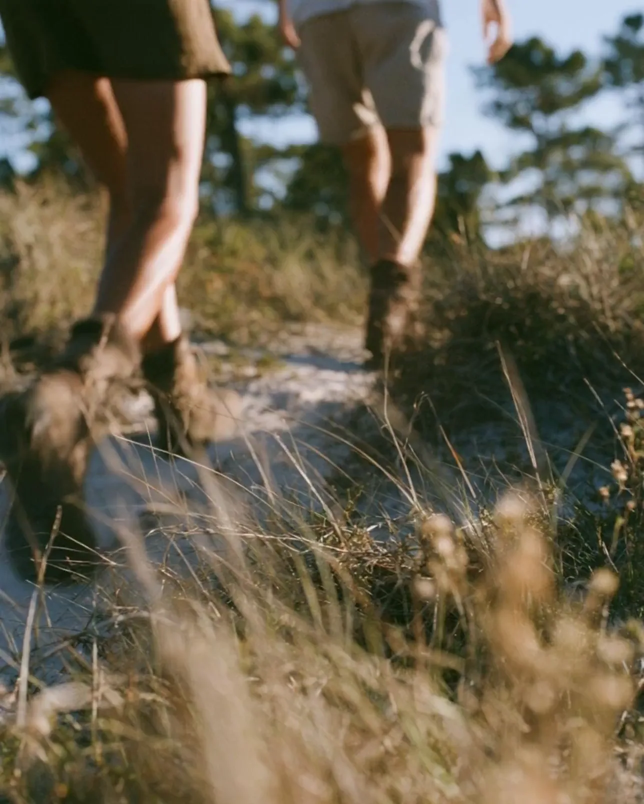 Walking through the native grass