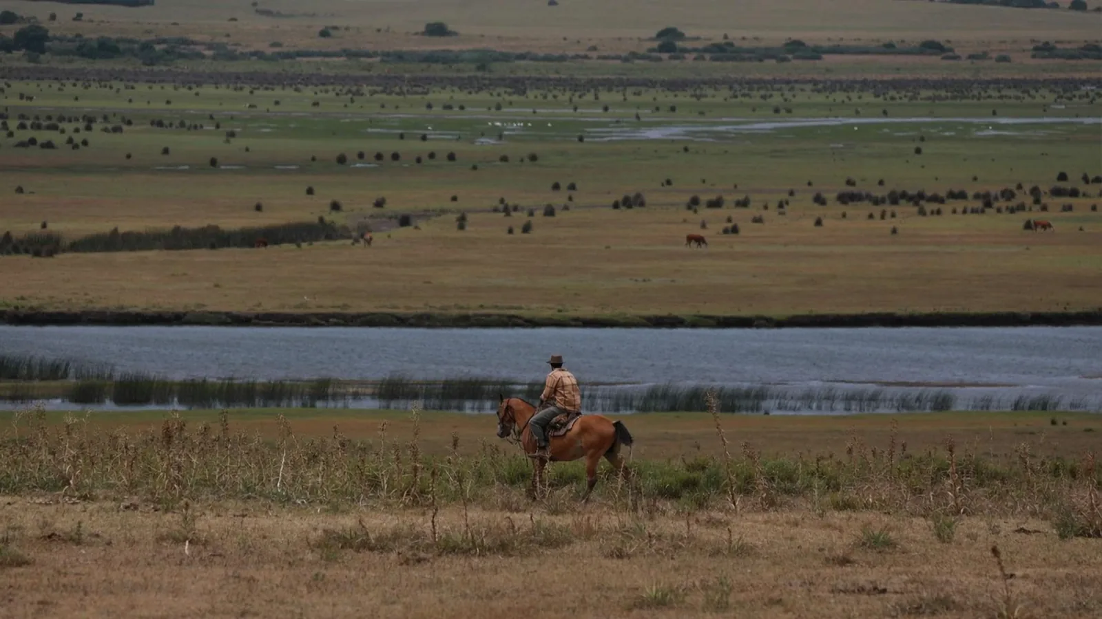 A rider crossing the wetland at dusk