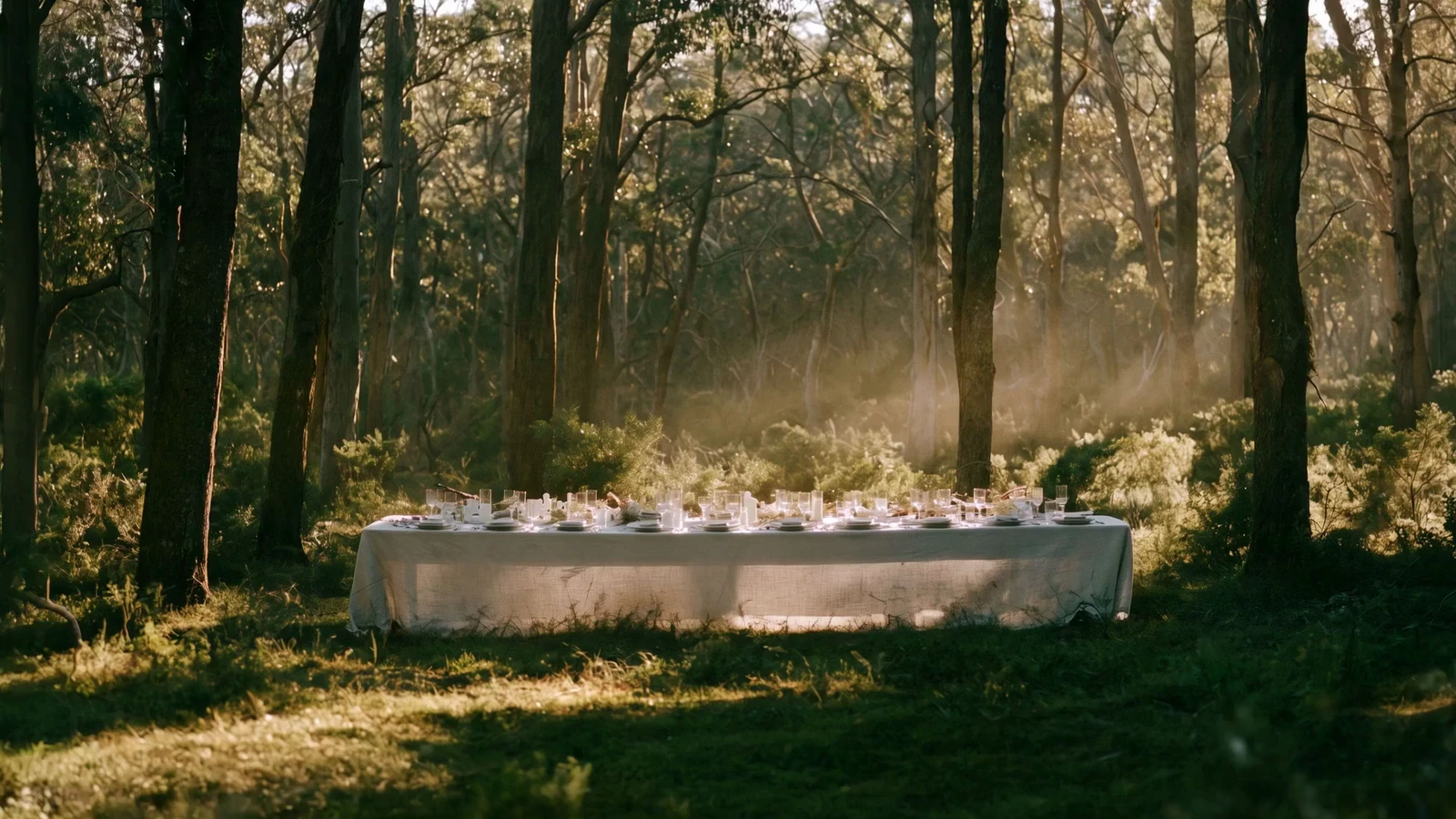 The eucalyptus forest