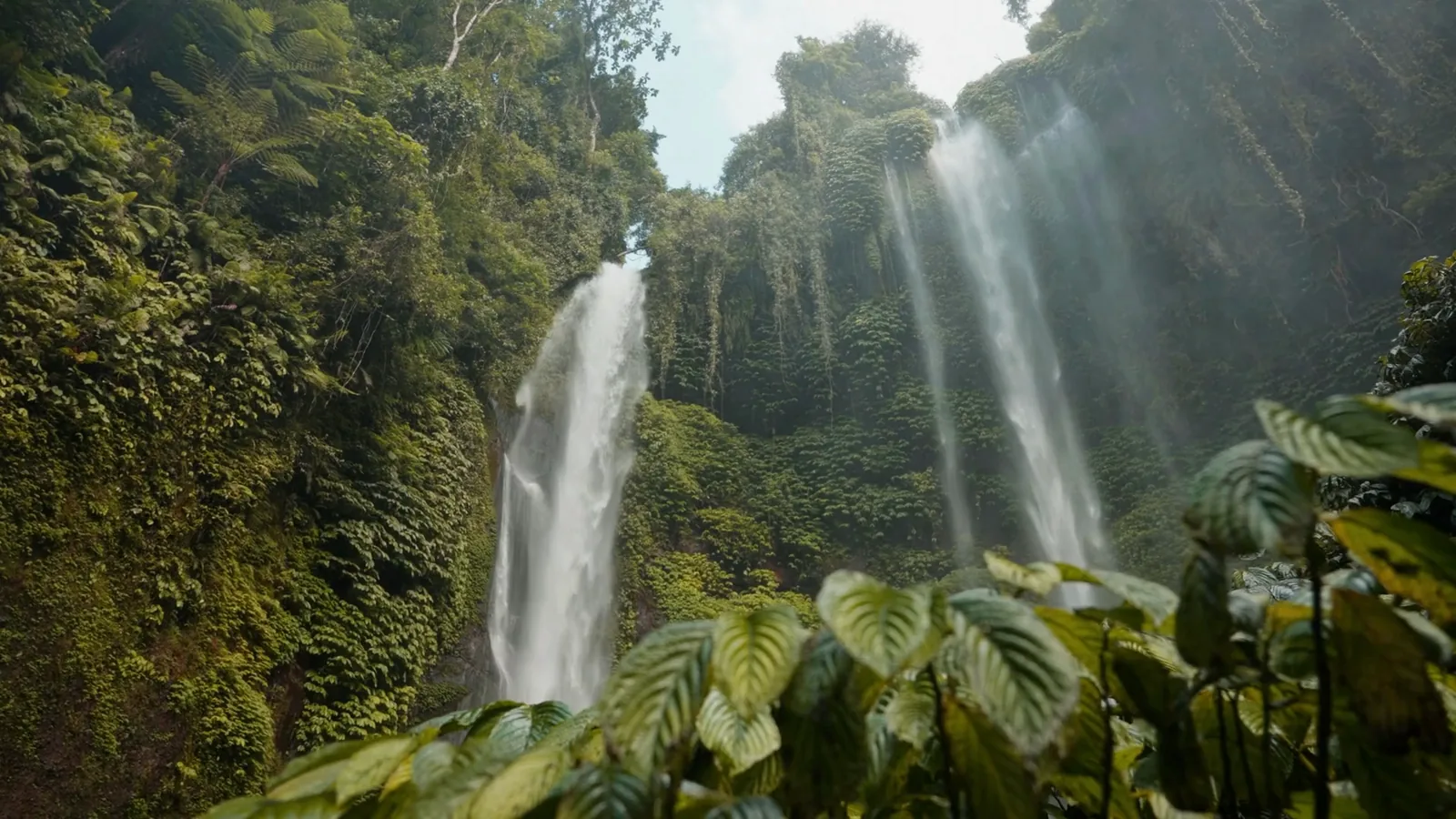A waterfall in the forest at Vista Verde