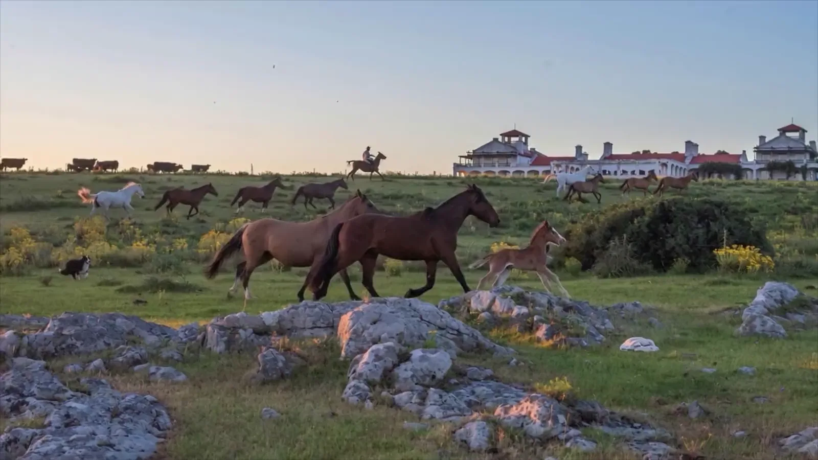 Estancia Vik, open countryside